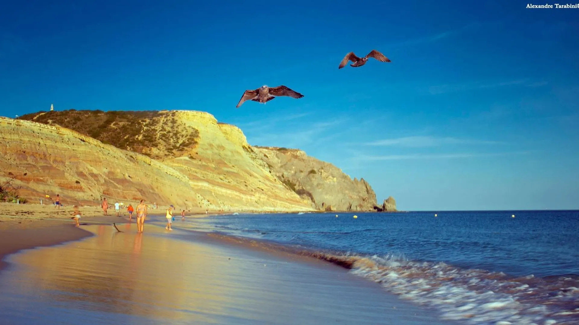A06 - Seaview 1 Bed Apartment Praia Da Luz